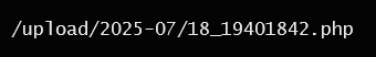image-20250718205453954